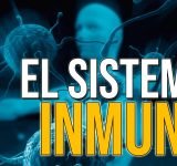 Como mejorar nuestro sistema inmunológico